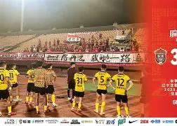 IM电竞官方网站最新下载-球队战术风格